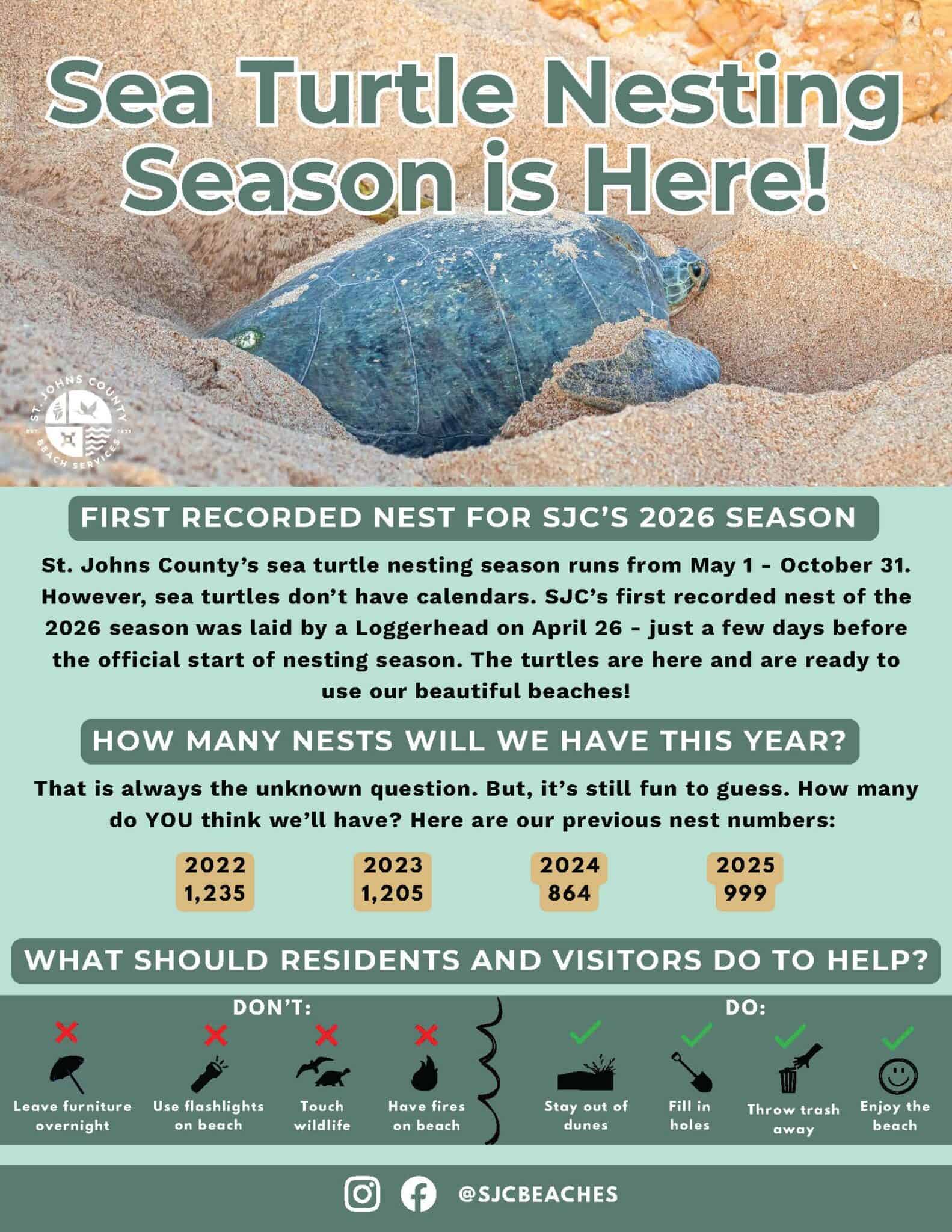 Sea Turtle Nesting Season 2026 - St. Augustine Beach Oceanfront ...