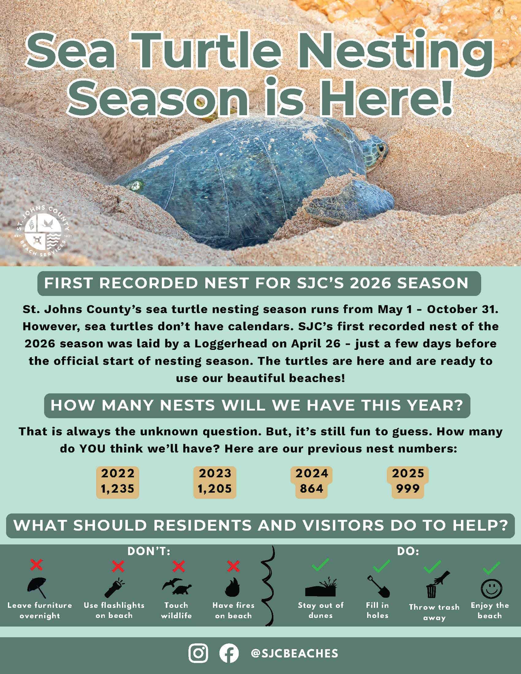 Sea Turtle Nesting Season 2026 - St. Augustine Beach Oceanfront ...